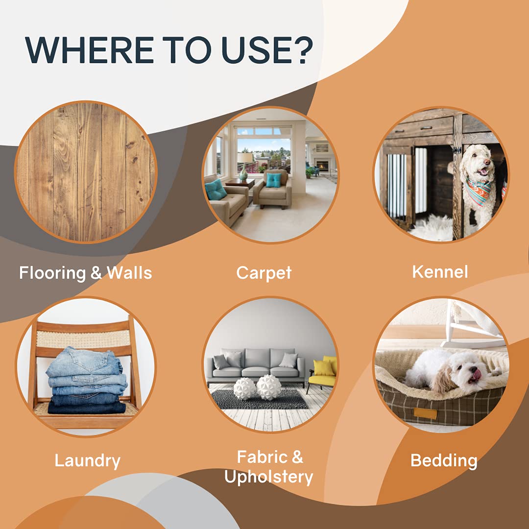 Thornell Dog Odor-Off Pet Odor Eliminator Spray Bottle - Ready To Use Dog Carpet Cleaner - Dog Urine Carpet Cleaner For Home, Gl